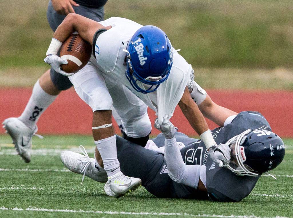 Shorewoods Ibrahim Benzina grabs Meadowdales Ian Newsoms facemarks while Newsom grabs Benzinas jersey during the game on Friday, Sept. 13, 2019 in Edmonds, Wash. (Olivia Vanni / The Herald)