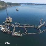 In this Aug. 28, 2017 photo, a crane and boats are anchored next to a collapsed net pen used by Cooke Aquaculture Pacific to farm Atlantic Salmon near Cypress Island in Washington state after a failure of the nets allowed tens of thousands of the nonnative fish to escape. (David Bergvall/Washington State Department of Natural Resources via AP, file)