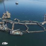 Cooke Aquaculture to pay $2.75M over net-pen collapse