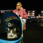 A 55-year-old woman wheels two cats and three small dogs in a stroller near the Everett Public Library. Staying in her broken down vehicle at the time, she had come for help offered by MercyWatch. (Dan Bates / The Herald)