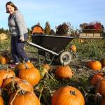 Years in the making, plan puts science behind saving farms