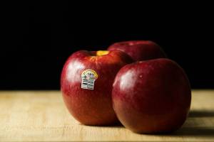Scientists at Washington State Universitys Tree Fruit Research Center in Wenatchee spent two decades developing the Cosmic Crisp apple tree seeds. (Andy Bronson / The Herald)