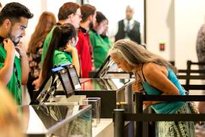 Everett leaders to ponder red-light cameras, adding pot shops