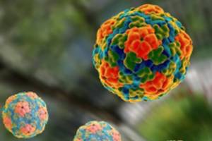 Hepatitis A (National Institutes of Health)
