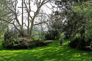 Yes, it’s winter, but it’s time to think about the garden