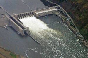 Snake River dams: Can’t live with them, can’t blow them up
