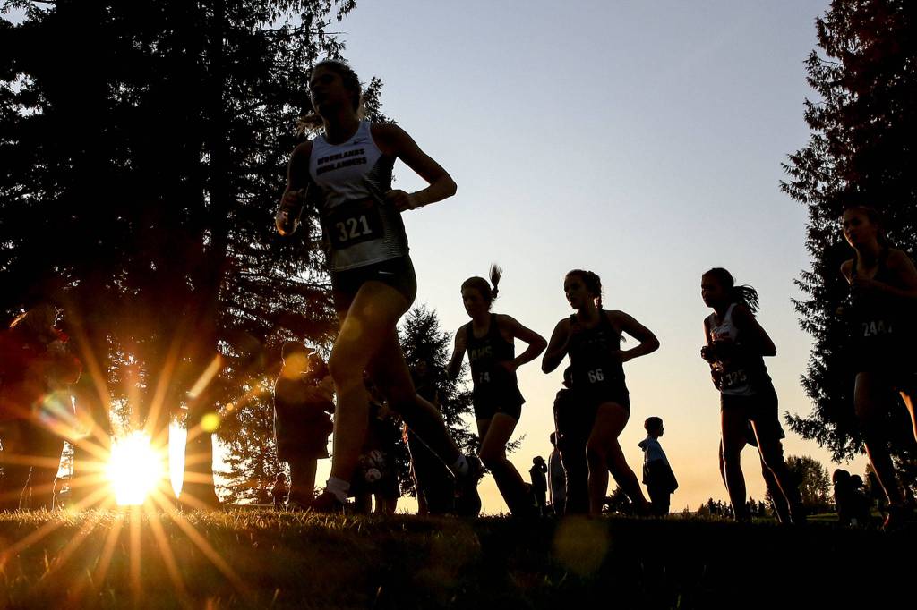 Runners make their way through the course during the 13th Annual Twilight XC Invitational at Cedarcrest Golf Course in Marysville on Oct. 5. (Kevin Clark / The Herald)