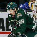 Silvertips seeking help at center out of WHL Christmas break