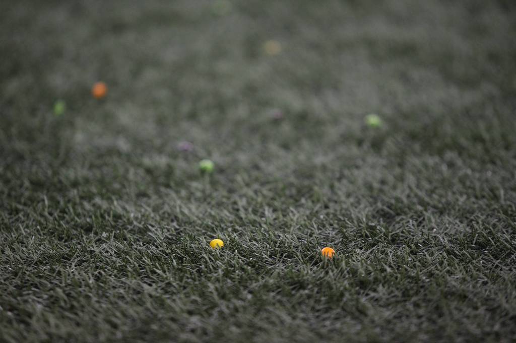 Fans throw Skittles onto the field to celebrate a touchdown by Seattle Seahawks Marshawn Lynch as the Seahawks lost to the San Francisco 49ers 26-21 at CenturyLink Field on Sunday, Dec. 29, 2019 in Seattle, Wash. (Andy Bronson / The Herald)
