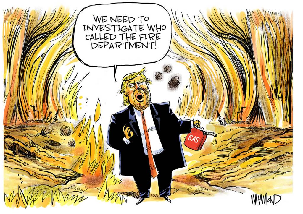 2019’s best editorial cartoonsL Part 4 of 4