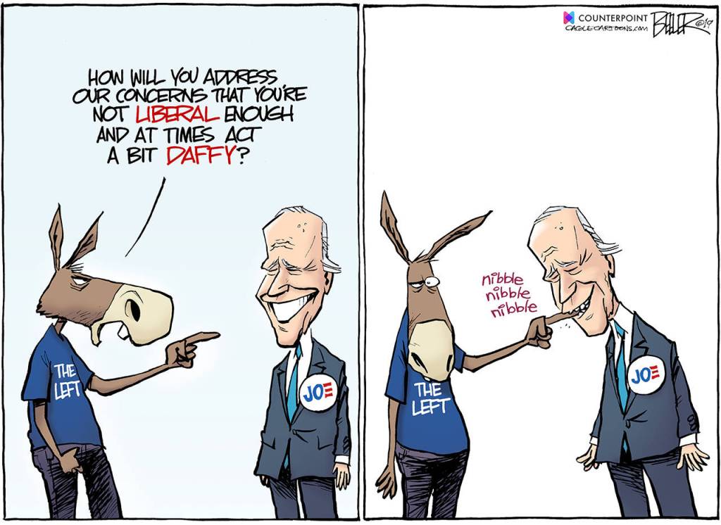 2019’s best editorial cartoonsL Part 4 of 4