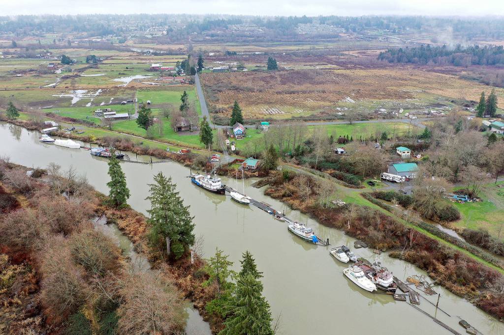 Boats docked along Steamboat Slough of the Snohomish River on the north side of Ebey Island. This view is looking east, with Spencer Island Park at lower left. (Chuck Taylor / The Herald)