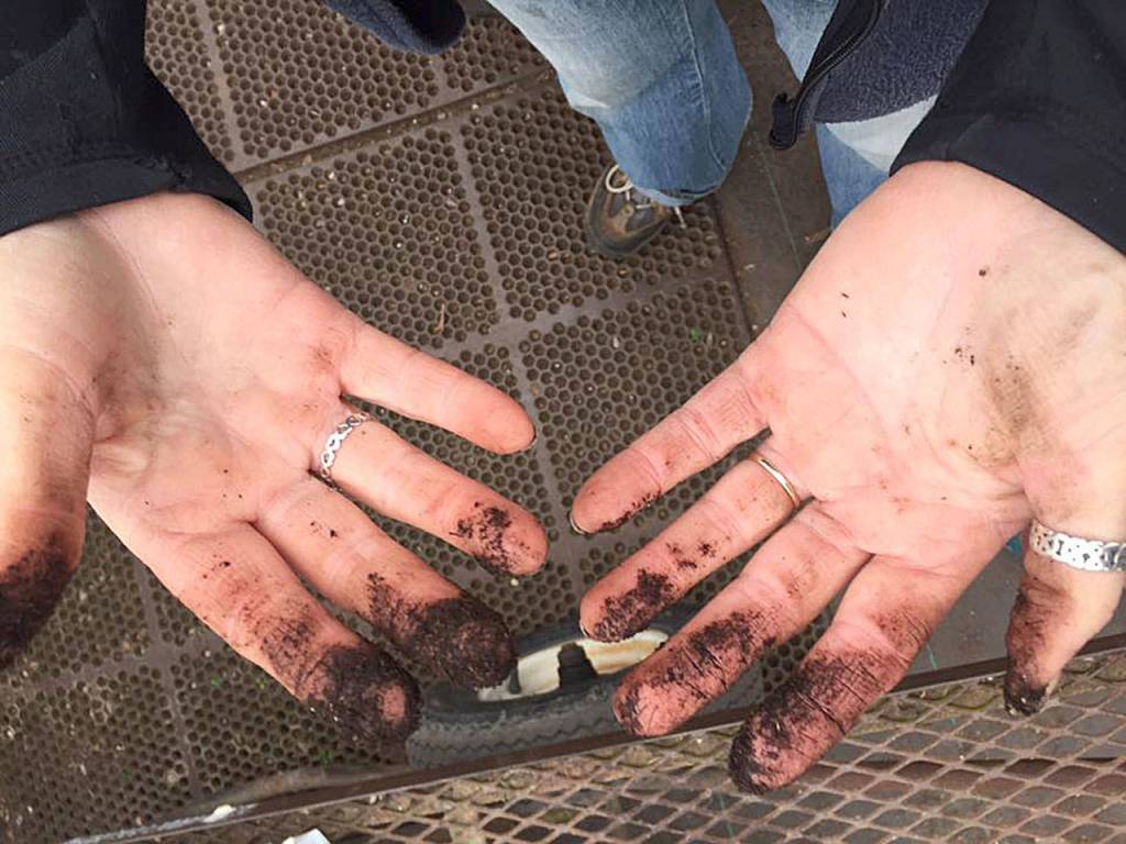 Steve Smith prefers to garden bare-handed. Now, a new study shows that soil bacteria is good for you.