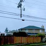 A car sheared this power pole before crashing into a house and starting a fire in Mountlake Terrace Monday. One person in the car died. (South County Fire)