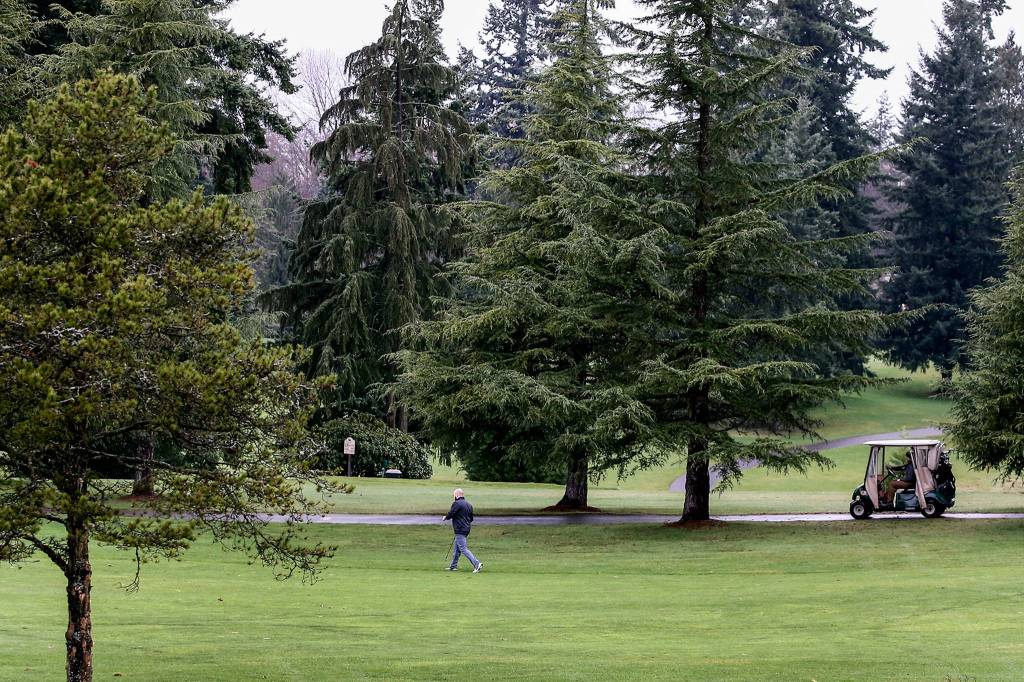 Walter Hall Golf Course, one of two Everett city golf courses, might see a rate increase. (Kevin Clark / The Herald)