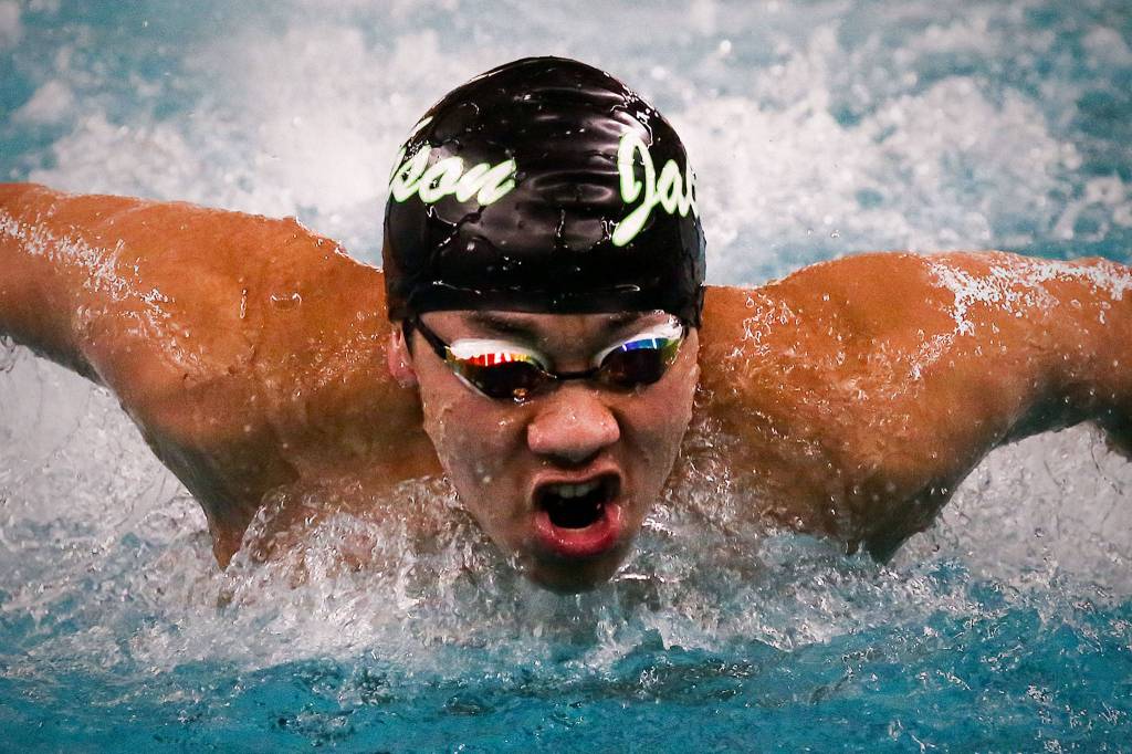Jacksons Daniel Teoh competes in the 100-yard butterfly during a meet against Shorewood on Tuesday afternoon at Shoreline Pool. (Kevin Clark / The Herald)
