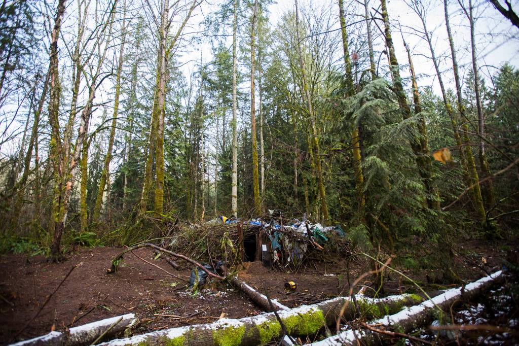 The dwelling sits in a well cleared out opening Thursday in Monroe. (Olivia Vanni / The Herald)