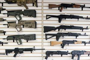 List of firearms bills to be proposed at Legislature