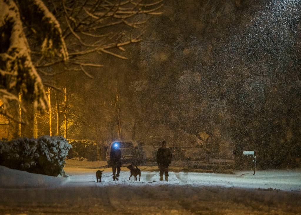 People walk their dogs along Elm Street on Sunday, Jan. 12, 2020 in Everett, Wash. (Olivia Vanni / The Herald).