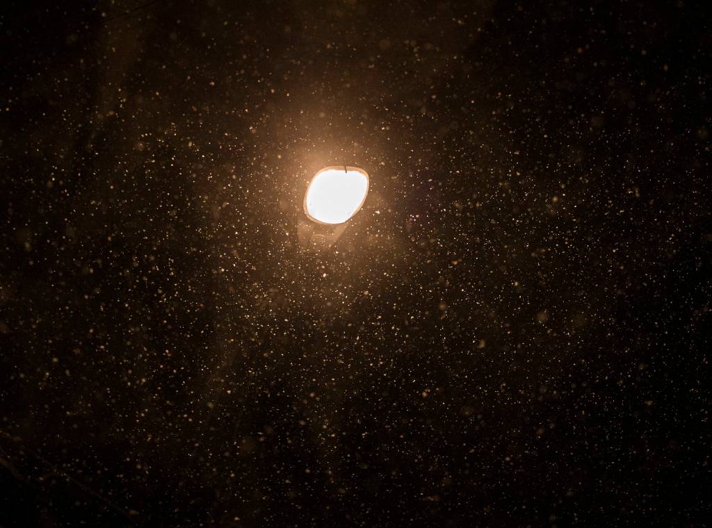 Wet snowflakes fall on Sunday, Jan. 12, 2020 in Everett, Wash. (Olivia Vanni / The Herald).