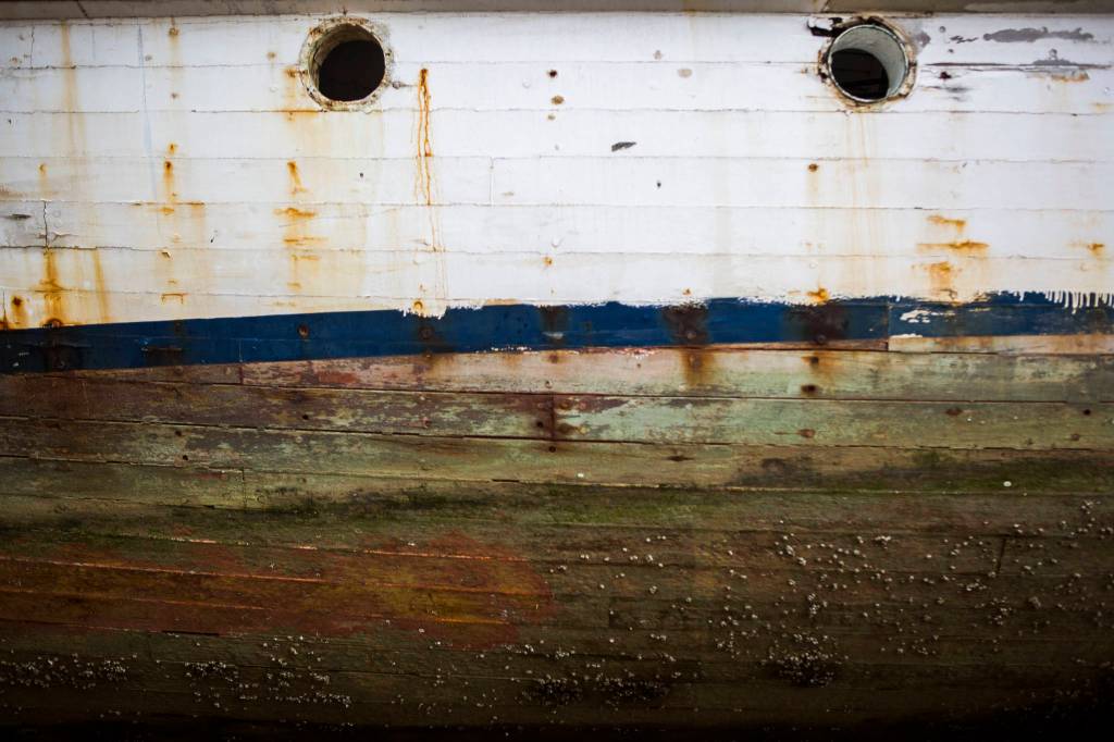 Peeling paint and barnacles along the hull of the Argosy on Friday in Tulalip. (Olivia Vanni / The Herald)