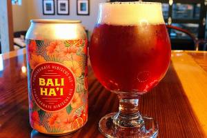 Drink this: Scuttlebutt no longer brewing with English ale yeast