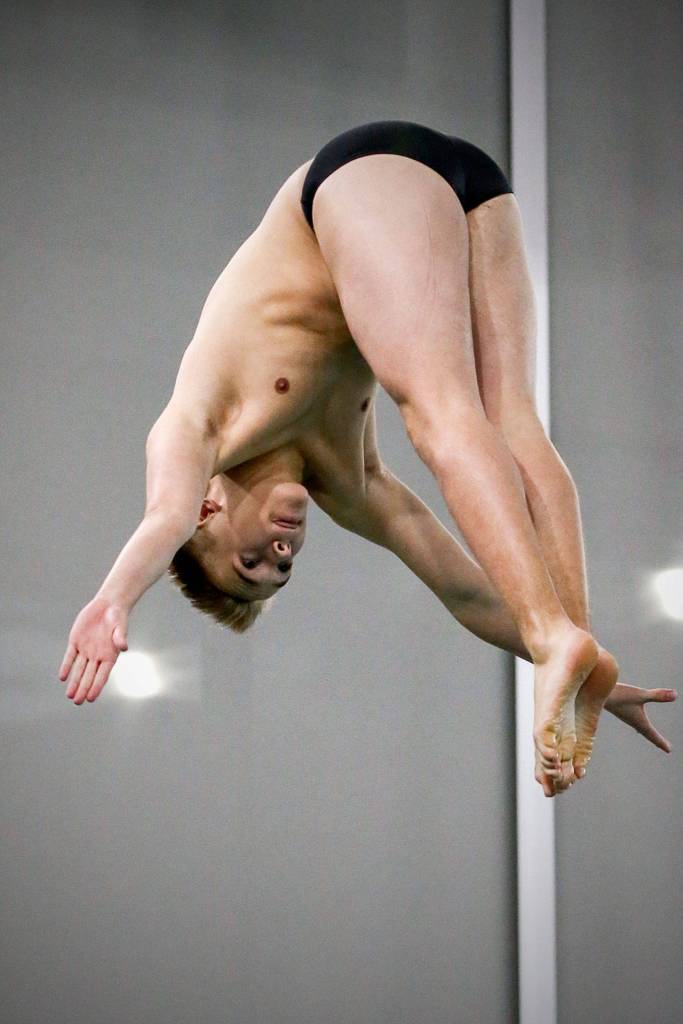 Lake Stevens Jaden Cardona dives during a Wesco 3A North meet with Snohomish and Glacier Peak on Thursday at the Snohomish Aquatic Center. (Kevin Clark / The Herald)