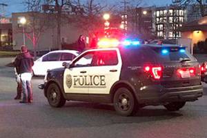 Suspect detained after attack with pick axe in Lynnwood