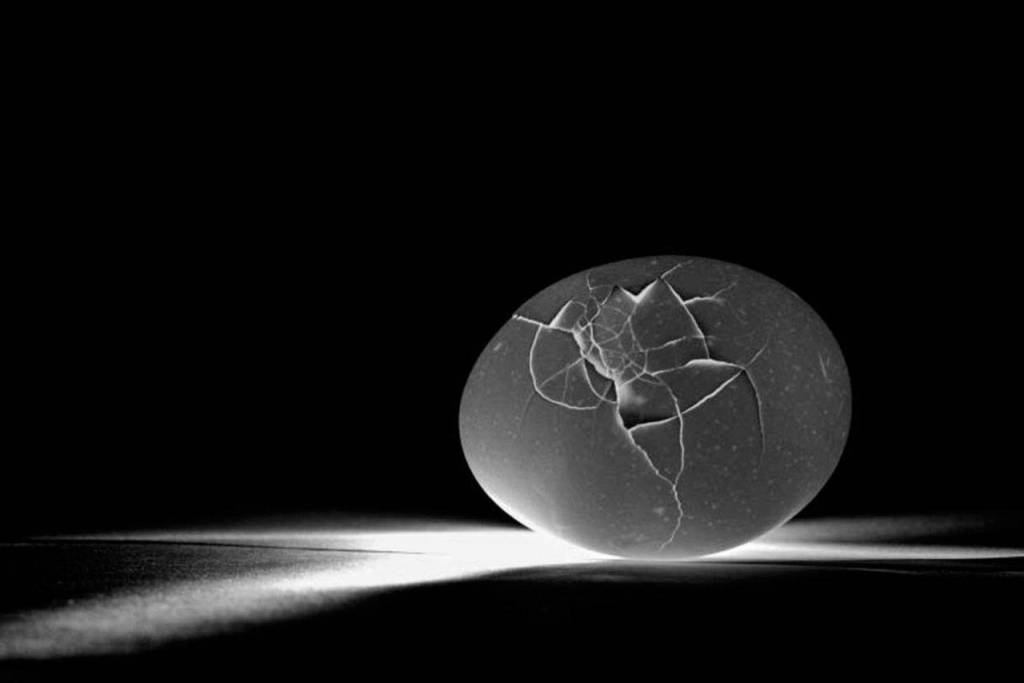 Sophia Rennert, a senior at Snohomish High School, received an American Vision Award for this artwork, Eggs, in the 2020 Scholastic Art & Writing Awards.