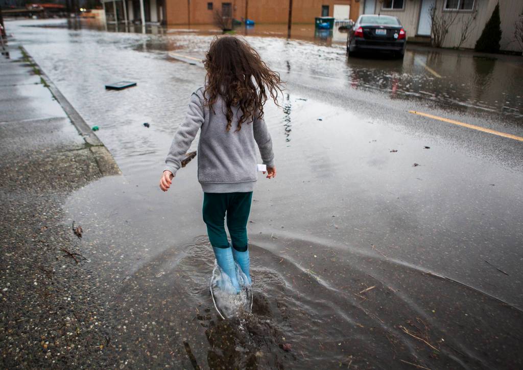 Savannah Neel walks through flood water on Main Street on Saturday in Sultan. (Olivia Vanni / The Herald)