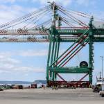 The Port of Everett acquired a pair of 215-foot cranes June 14 to move large cargo, including parts for the Boeing 777X. Their height requires that they be painted with FAA-approved markings or have lighting. (Kevin Clark / Herald file)
