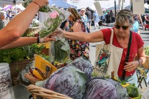 Everett Farmers Market set to launch monthly popup events