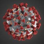 This is an illustration of the 2019 Novel Coronavirus, which was identified as the cause of an outbreak of respiratory illness first detected in Wuhan, China. (Courtesy Centers for Disease Control and Prevention)