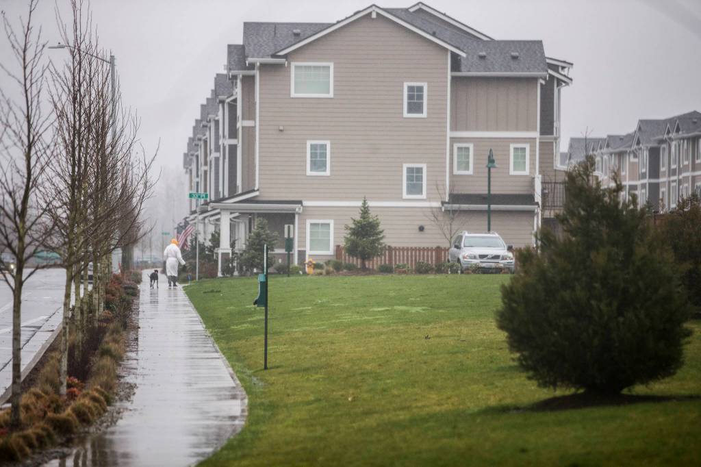 A person walks a dog at The Towns at Riverfront by Polygon Homes on Wednesday in Everett. (Olivia Vanni / The Herald)