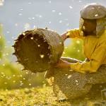 In addition to being an amazing parable of 21st century attitudes, Honeyland is beautifully photographed. (Neon)