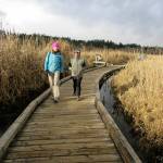 Heather Romano and Delfina McCoy on the boardwalk at North Creek Trail in Mill Creek. The Everett Hiking Backpacking Committee will lead a slow-paced walk on the Everett portion of the regional trail Feb. 16. (Craig Romano)