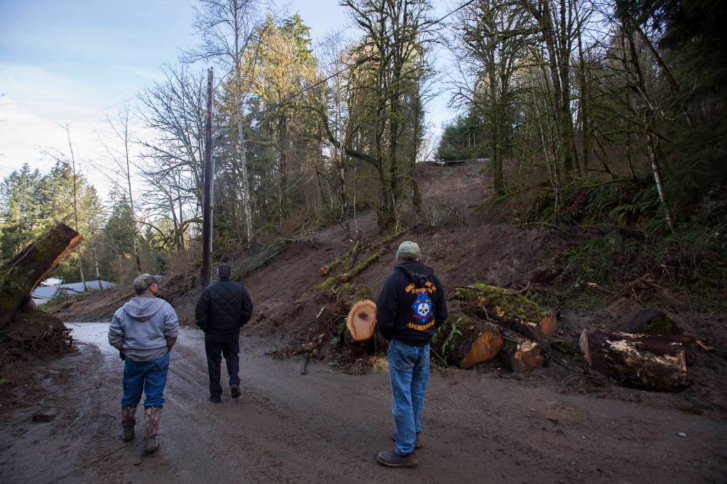 Local resident Ken Hopkins (right), who has lived at the top of the hill for 35 years, pauses to look at the slide site on Monday in Monroe. (Olivia Vanni / The Herald)