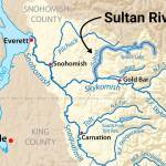 The Sultan River is a tributary to the Snohomish Basin. Wild steelhead counts in the past two years were the lowest in a decade. (Wikimedia Commons)