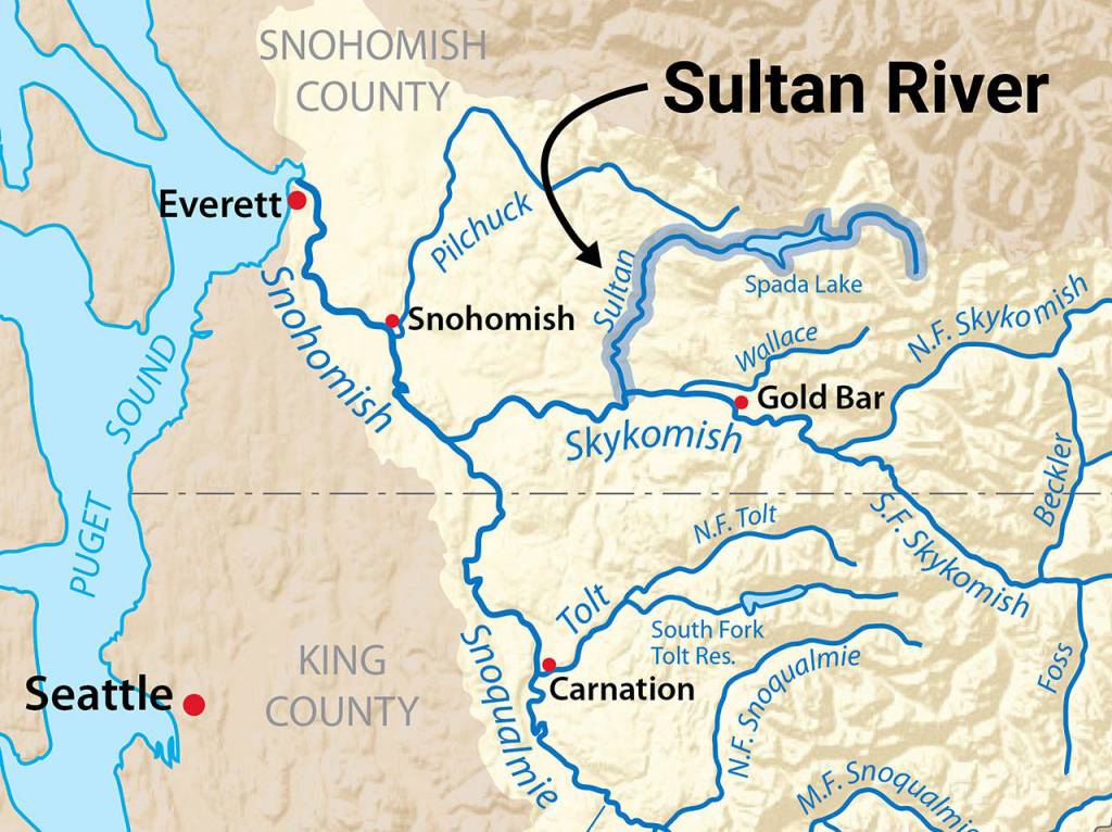 The Sultan River is a tributary to the Snohomish Basin. Wild steelhead counts in the past two years were the lowest in a decade. (Wikimedia Commons)