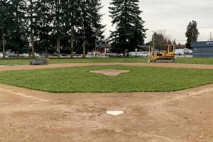 Marysville Little League president sentenced for theft