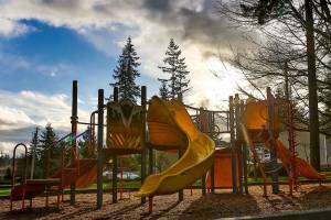 South Lynnwood Park to get $2.5 million renovation