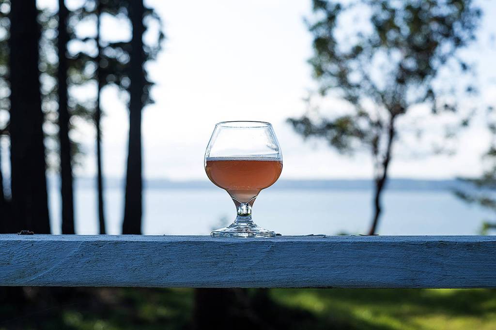 For more information about Camano Cider, visit www.camanocider.com. (Mercenary Ventures)