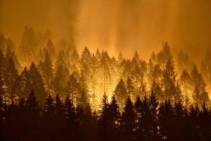 Editorial: Insurance fee could limit wildfire risk, damage