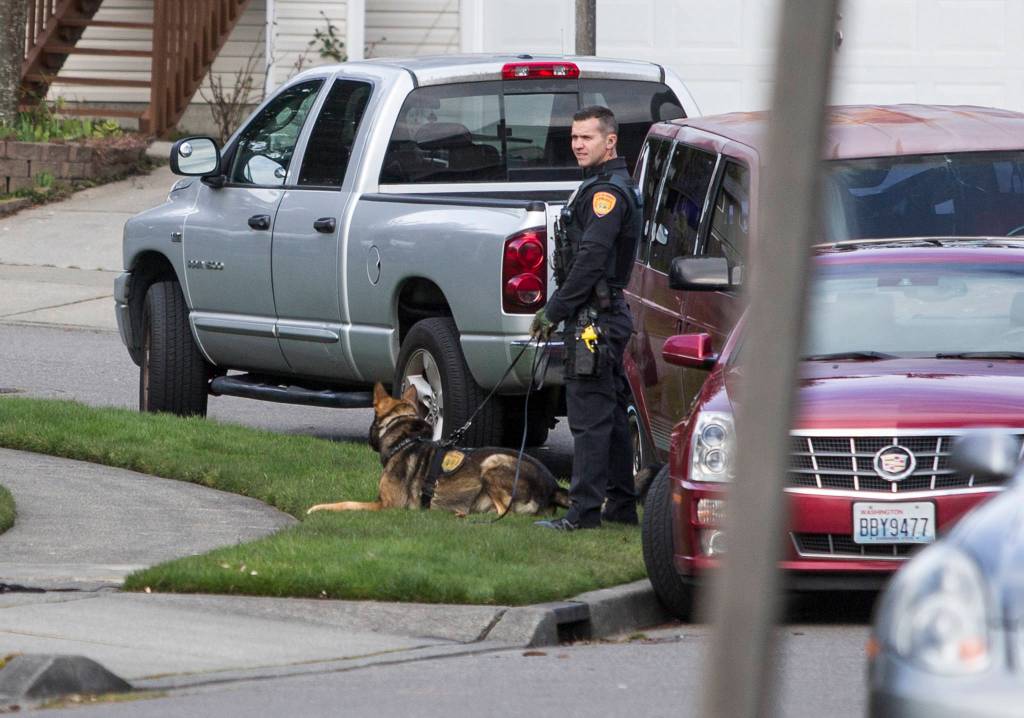 A police officer stands with a police dog along 163rd Place SW on Sunday near Lynnwood. (Olivia Vanni / The Herald)