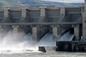 Feds reject removal of 4 Snake River dams in key report