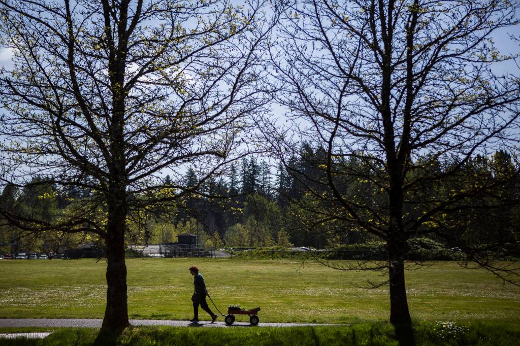 A women pulls a wagon full of plants back to her car during the annual Master Gardner Plant Sale at McCollum Pioneer Park on May 4, 2019 in Everett. (Olivia Vanni / Herald file)