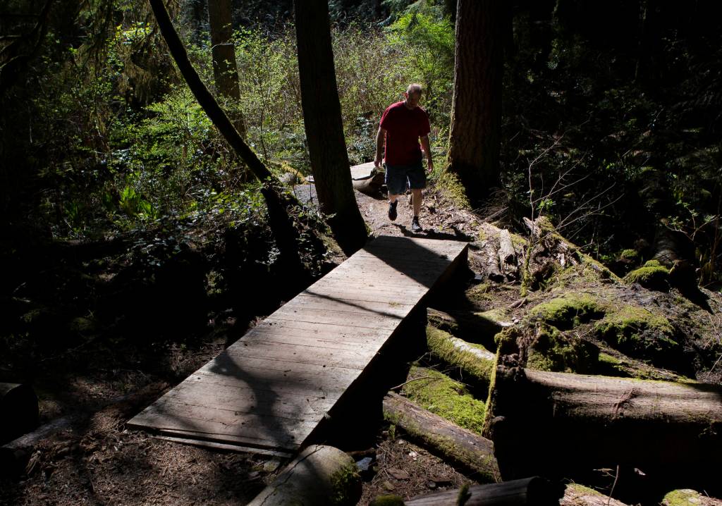 Greg Hill walks across some of the repaired boardwalks along the Waynes World Trail at Lord Hill Regional Park on April 4, 2019 in Snohomish. (Olivia Vanni / Herald file)