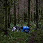 Kristin Rosenbach and her border collie Callie search the forest floor for truffles. Rosenbach trained Callie to hunt truffles 10 years ago. (Olivia Vanni / The Herald)