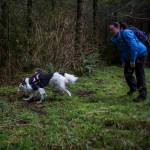 Kristin Rosenbach jogs after Callie as the dog takes off into the woods to begin searching for truffles. (Olivia Vanni / The Herald)