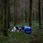 Truffle-tracking dogs find the delicacy in local forestlands